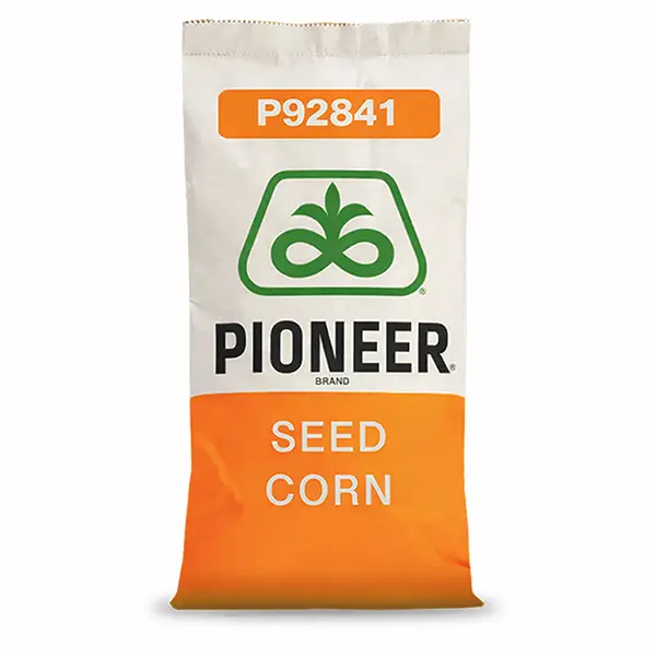 P92841 Pioneer Podlaskie Nasiona Kownacki Łukasz.webp