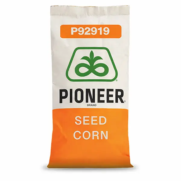 P92919 Pioneer Podlaskie Nasiona Kownacki Łukasz.webp