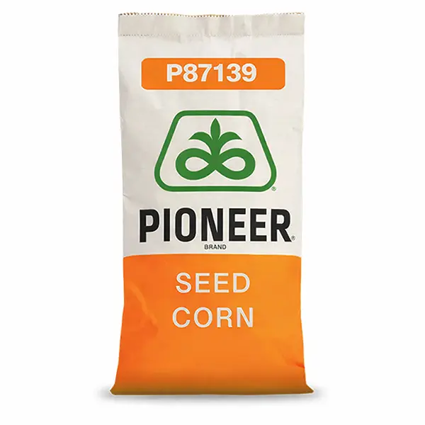 P87139 Pioneer Podlaskie Nasiona Kownacki Łukasz.webp
