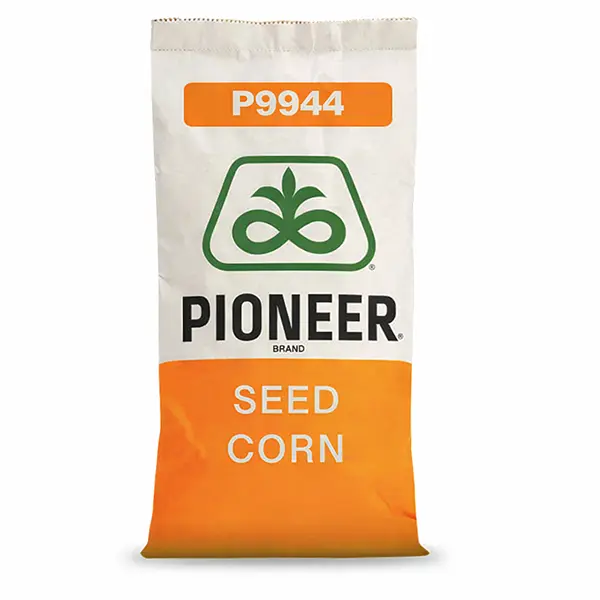 P9944 Pioneer Podlaskie Nasiona Kownacki Łukasz.webp