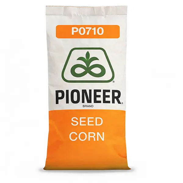 P0710 Pioneer Podlaskie Nasiona Kownacki Łukasz.webp