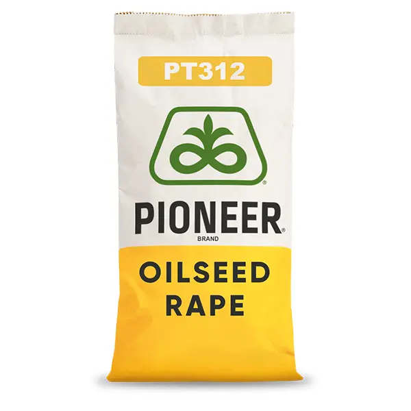 PT312 Pioneer Podlaskie Nasiona Kownacki Łukasz.webp