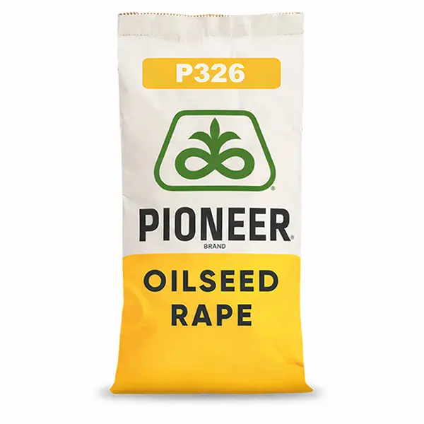 P326 Pioneer Podlaskie Nasiona Kownacki Łukasz.webp