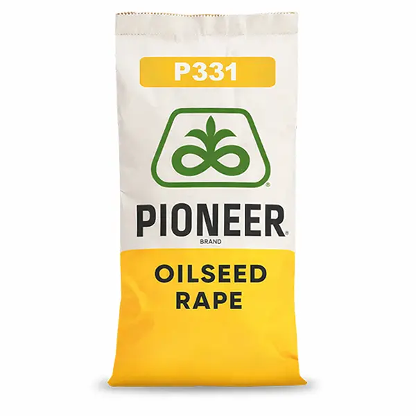 P331 Pioneer Podlaskie Nasiona Kownacki Łukasz-1.webp