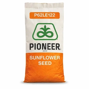 P62LE122 Pioneer Podlaskie Nasiona Kownacki Łukasz.webp